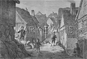 Faeroe: FAEROE ISLANDS STREET