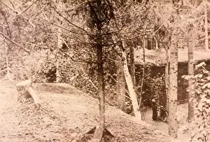 Headquarter: Fahrer headquarters Wolf's Lair, 1943