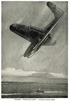 Barracuda: Fairey Barracuda