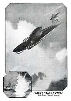 Barracuda: Fairey Barracuda