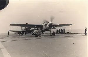Barracuda: Fairey Barracuda V on board a carrier