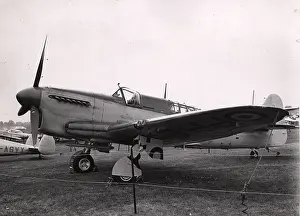 Firefly: Fairey Firefly 1 PP549