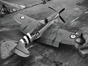 Majastys: Fairey Firefly