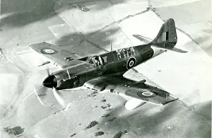 Firefly: Fairey Firefly 5 of the Royal Australian Navy