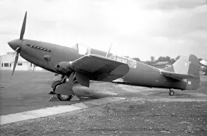 Waltham: Fairey Firefly AS.5 VT462
