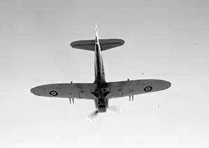Firefly: Fairey Firefly F Mk.1 prototype Z1826