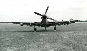 Firefly: Fairey Firefly FR4