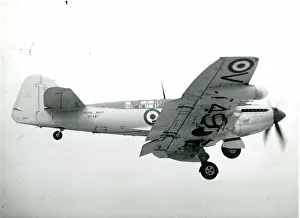 Fairey: Fairey Firefly FR4, VT497