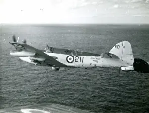 Fairey: Fairey Firefly FR4, WH632