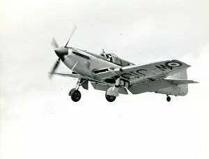 Firefly: Fairey Firefly FR4, WJ106
