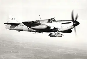 Firefly: Fairey Firefly TT4 VH132