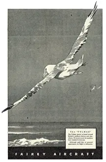 Fulmar: Fairey Fulmar