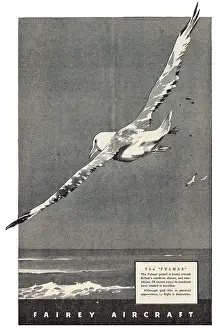 Fulmar: Fairey Fulmar