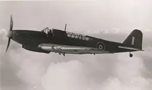 Fulmar: Fairey Fulmar in flight