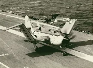 Gannet: Fairey Gannet AS1 WN346
