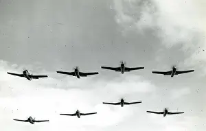 Gannets: Eight Fairey Gannets