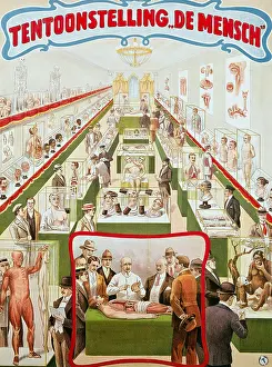 Carny: Fairground