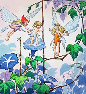 Fairies