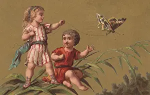 Weed: Fairies and Butterfly