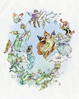Convolvulus: Fairies and Convolvulus