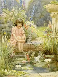 Fairies and Elves