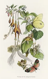 Feasting: Fairies and Elves Feast