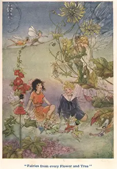 Fairies from every Flower