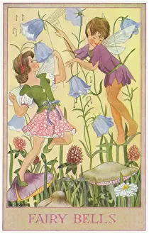 Harebells: Fairies & flowers