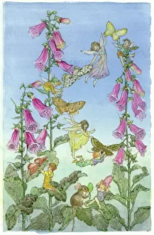 Foxgloves: Fairies and Foxgloves ' with butterflies