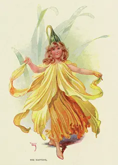 Daffodil: Fairies of the Garden - The Daffodil