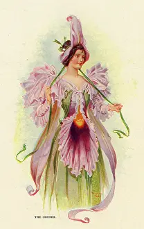 Mauve: Fairies of the Garden - The Orchid