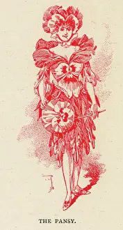 Pansy: Fairies of the Garden - The Pansy