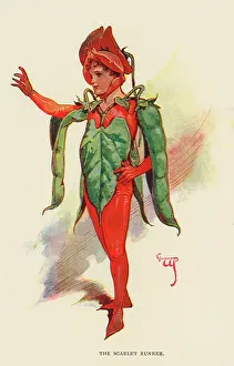Tights: Fairies of the Garden - The Scarlet Runner