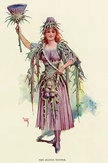 Fairies of the Garden - The Scotch Thistle