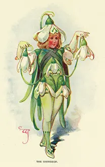 Tights: Fairies of the Garden - The Snowdrop