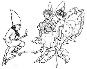 Elders: Two fairies and gnome on a branch