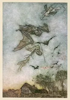 Bats: FAIRIES HUNT BATS