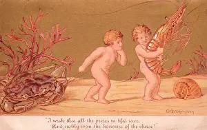 Prawns: Fairies with shellfish on a greetings card
