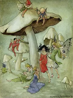 Fairies and toadstools