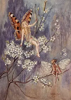 Lightly: Fairies on Tree Limbs