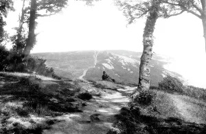 Fairlight: Fairlight Glen, 1890