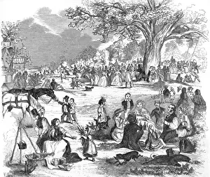 Fairlop: FAIRLOP OAK PICNIC