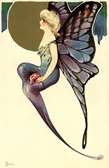 Knees: Fairy