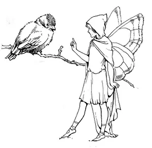 Sprite: Fairy with a bird