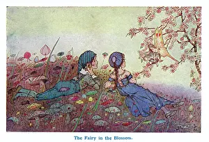 Toadstools: The Fairy in the Blossom