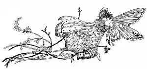 Fyleman: Fairy on a branch