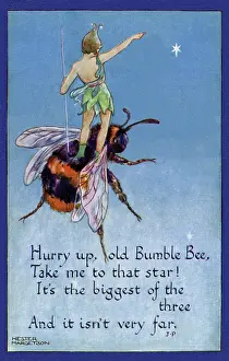Hester: Fairy on a bumblebee