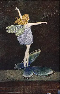 Fairy on a Butterfly