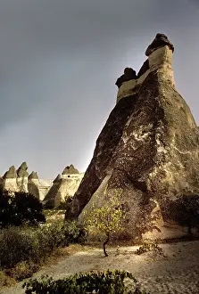 Dwellings: Fairy chimneys, and sunlit tree, Goreme, Cappadocia, Turkey