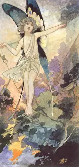 Cobweb: Fairy and Cobweb